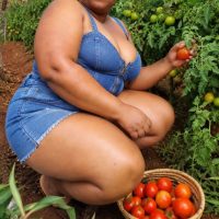 Pheobe-BBW